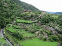 Piemont (387)